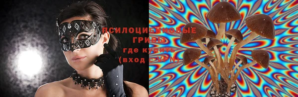 молекула духа Баксан
