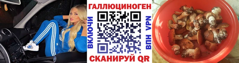 Галлюциногенные грибы Psilocybine cubensis Спас-Деменск