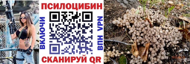 Галлюциногенные грибы мухоморы  Спас-Деменск 